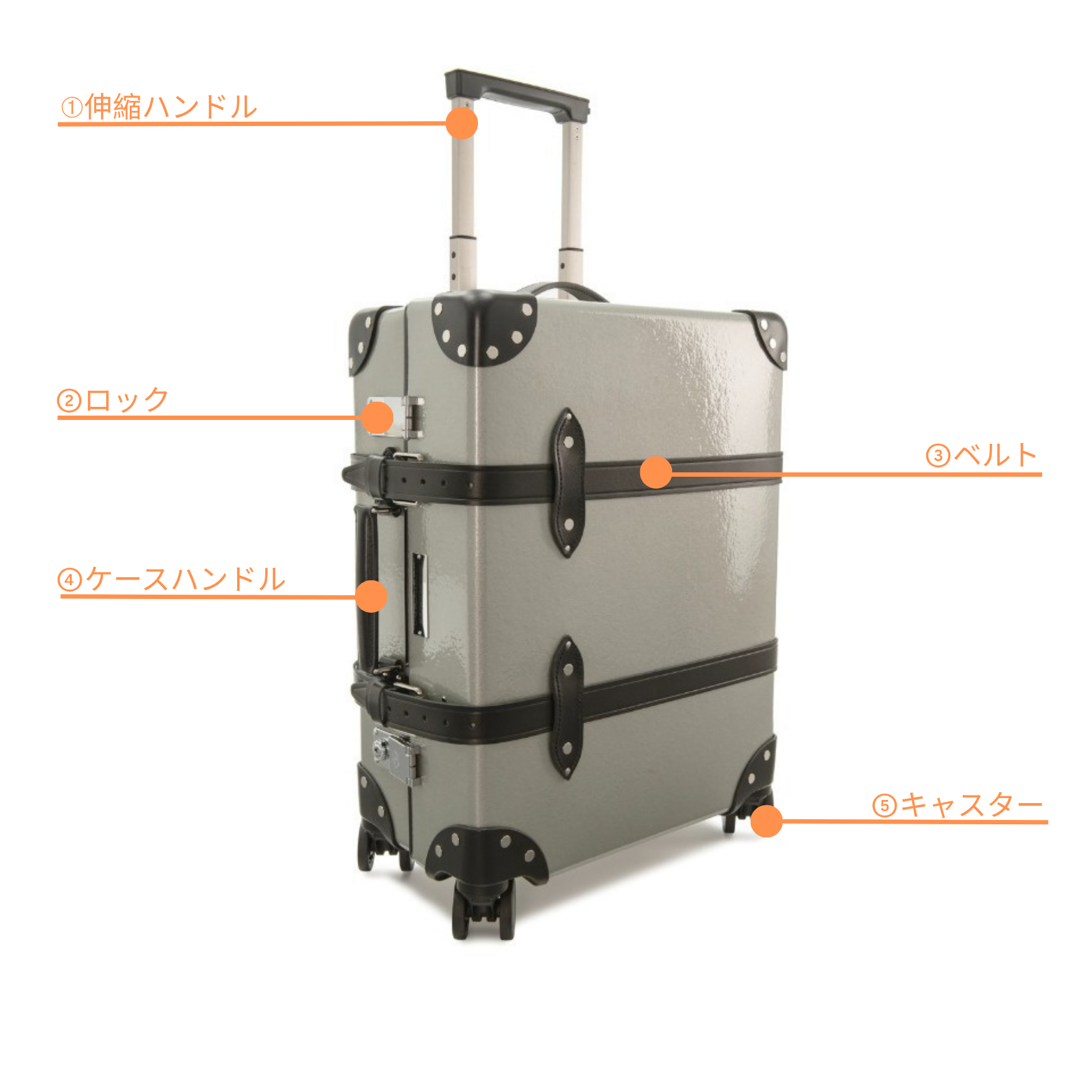 グローブトロッター　部位別図解
